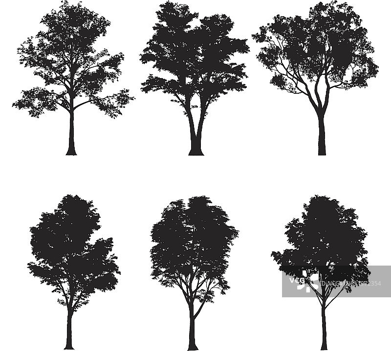 矢量插图的树木剪影图片素材