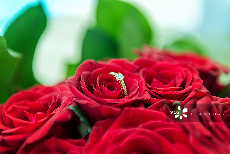 浪漫的红玫瑰和钻戒图片素材