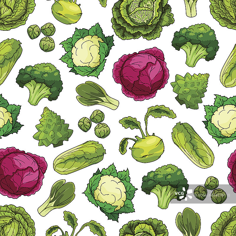 白菜蔬菜矢量无缝模式图片素材