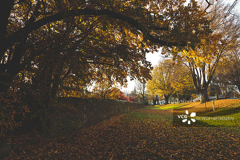 小镇上的秋色图片素材