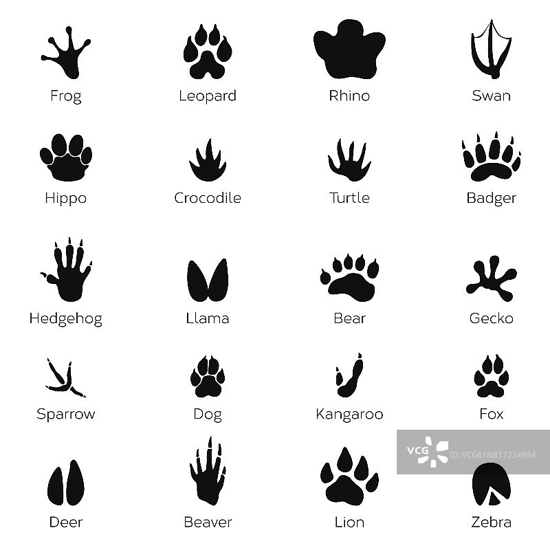 黑色的脚印，动物的形状。大象，豹，爬行动物和老虎。不同的步骤图片素材