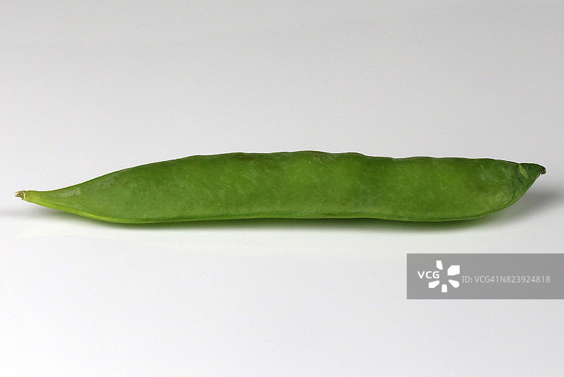 白底上的糖豆(pisum sativum)图片素材