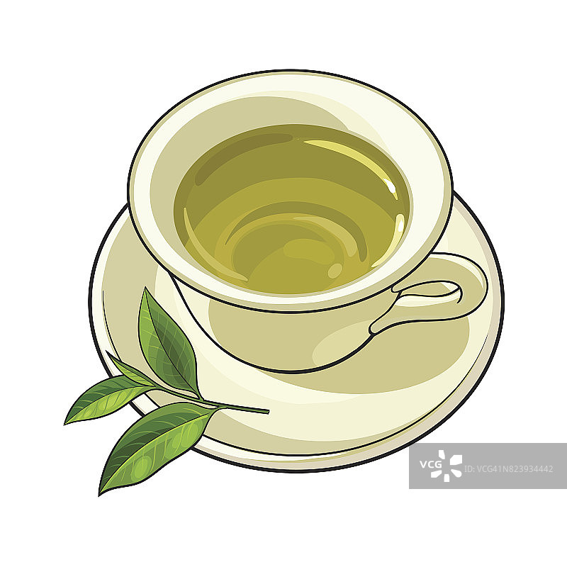 瓷器，瓷杯，茶碟，新鲜的绿茶叶图片素材