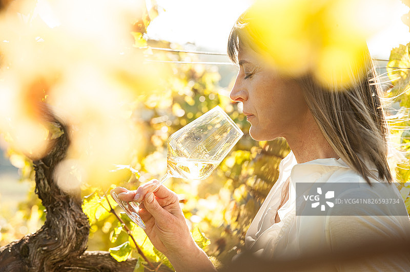 女酿酒师与一杯白葡萄酒在葡萄园图片素材