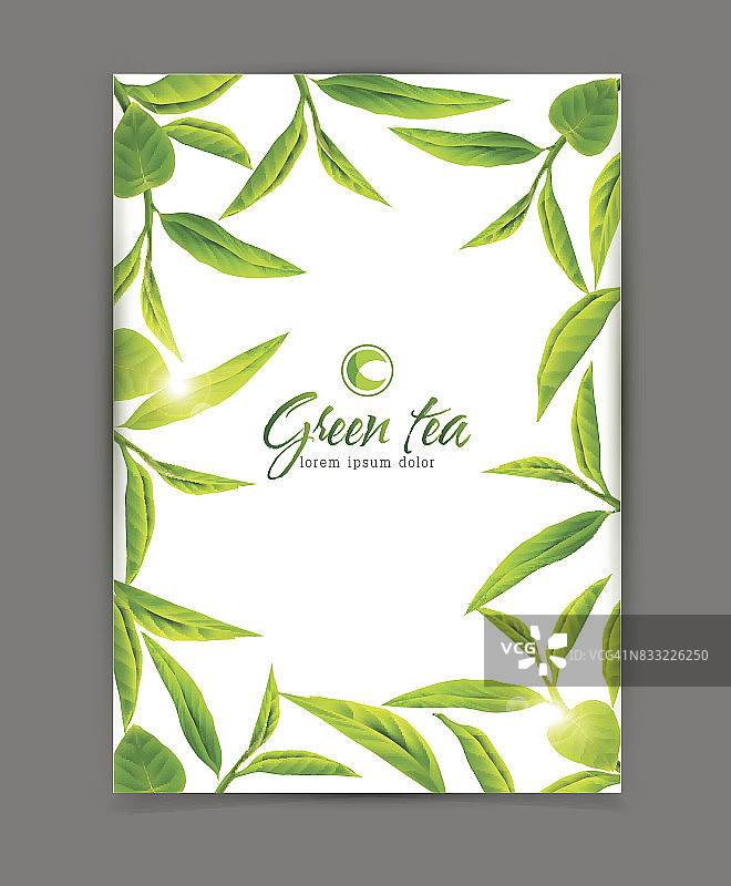 矢量模板与框架的绿茶叶子，孤立在白色的背景。广告插图，小册子，传单，现代促销。图片素材