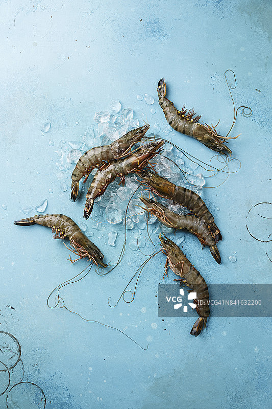 鲜鲜虎虾冰虾在蓝色背景图片素材