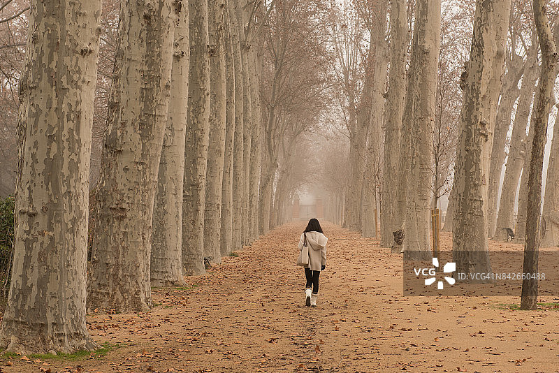 雾中，女孩走在棕色树林中的小径上图片素材