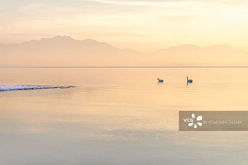 奇姆湖在冬天与天鹅的全景-奇姆湖，巴伐利亚，德国图片素材
