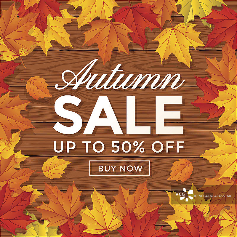 秋季销售背景有木叶和木叶图片素材