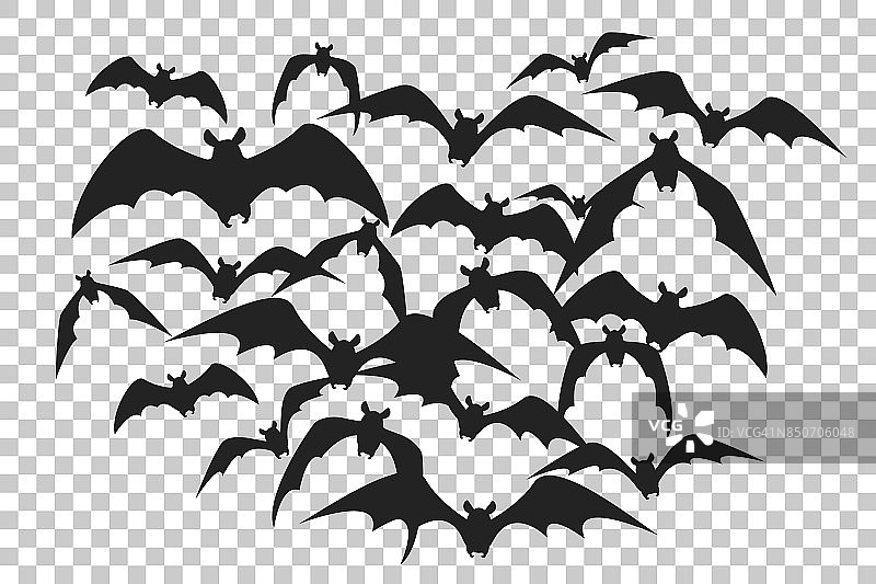 蝙蝠群的黑色剪影。一群蝙蝠被隔离在透明的背景下。万圣节传统设计元素。矢量图图片素材