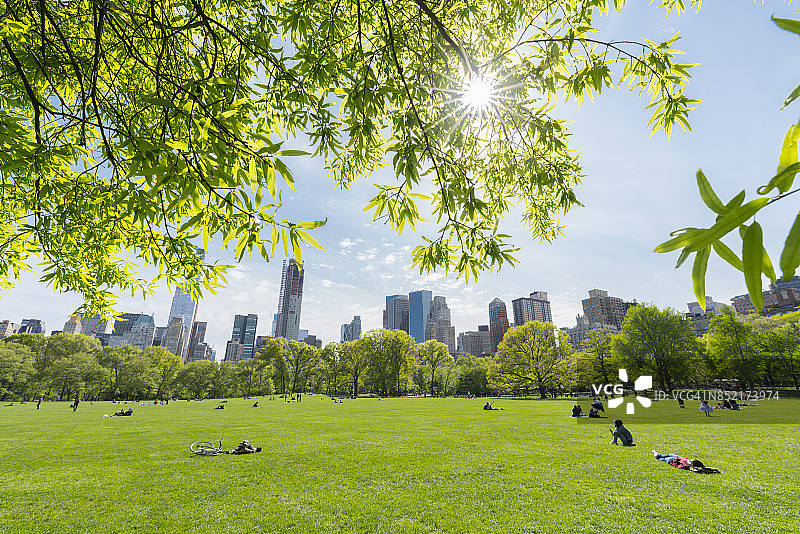 人们在纽约中央公园的绵羊草地上放松，这里在春天被新鲜的绿树环绕。春天的阳光照亮了曼哈顿市中心的摩天大楼和新鲜的绿树。图片素材