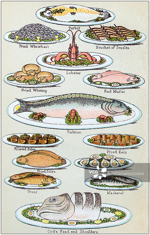 古董食谱书雕刻插图:海鲜图片素材