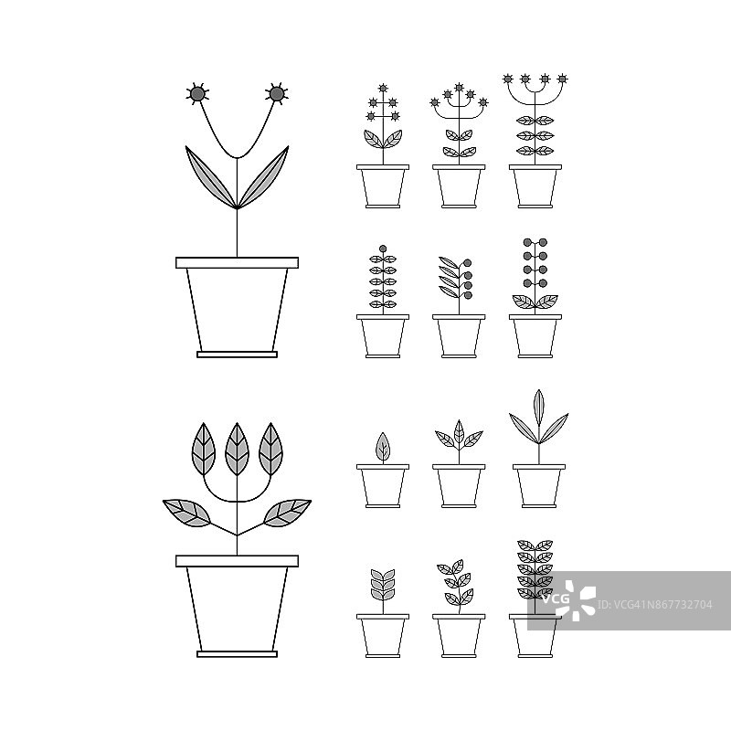 设置花盆图标。自然集合。植物的元素。Eco的迹象。矢量插图。图片素材