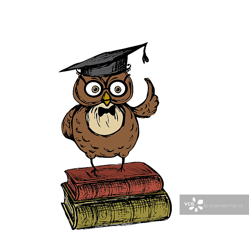 可爱的猫头鹰戴着毕业帽图片素材
