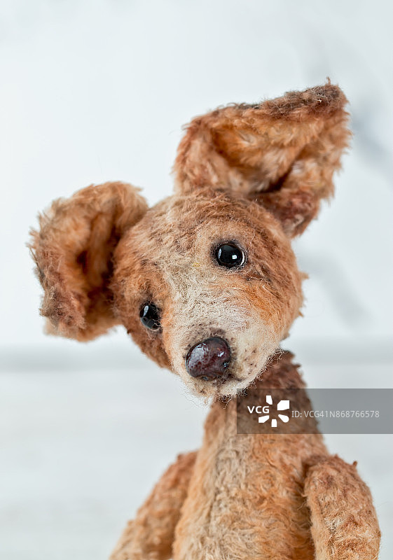 白色背景上的玩具泰迪狗肖像图片素材