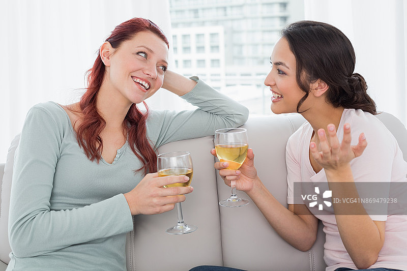 女性朋友拿着酒杯在家聊天图片素材
