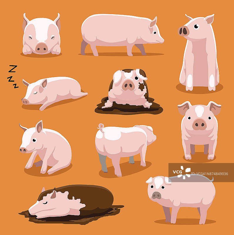 可爱的白猪卡通姿态矢量插图图片素材