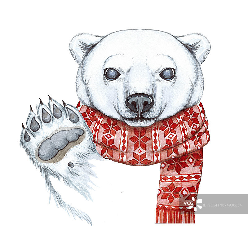 用水彩画的手法画了一只北极熊的卡通，以新年、圣诞节为主题，在一条用红色提花织成的围巾上，欢快、微笑、挥舞爪子，白色的背景，为贺卡、降临图片素材