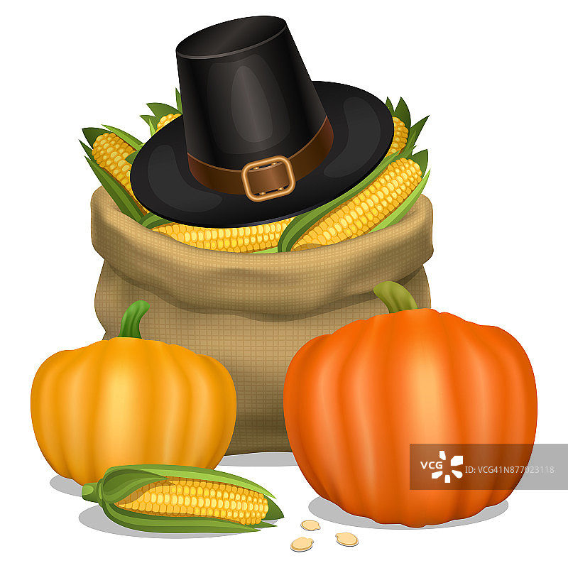 感恩节快乐。朝圣者的帽子与橙色南瓜和袋满玉米。矢量插图。图片素材