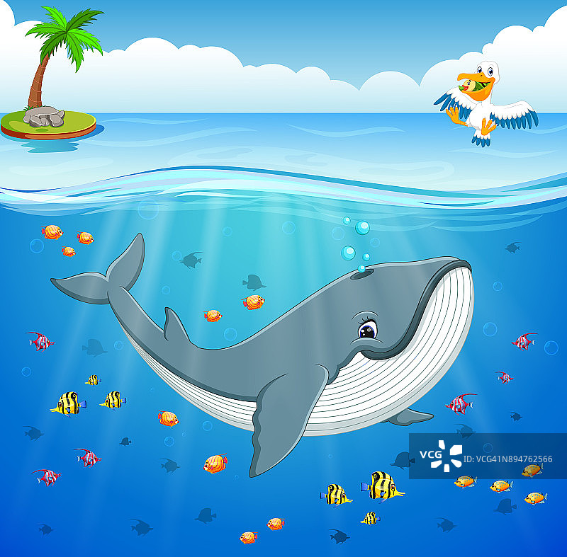 海底的卡通鲸鱼图片素材