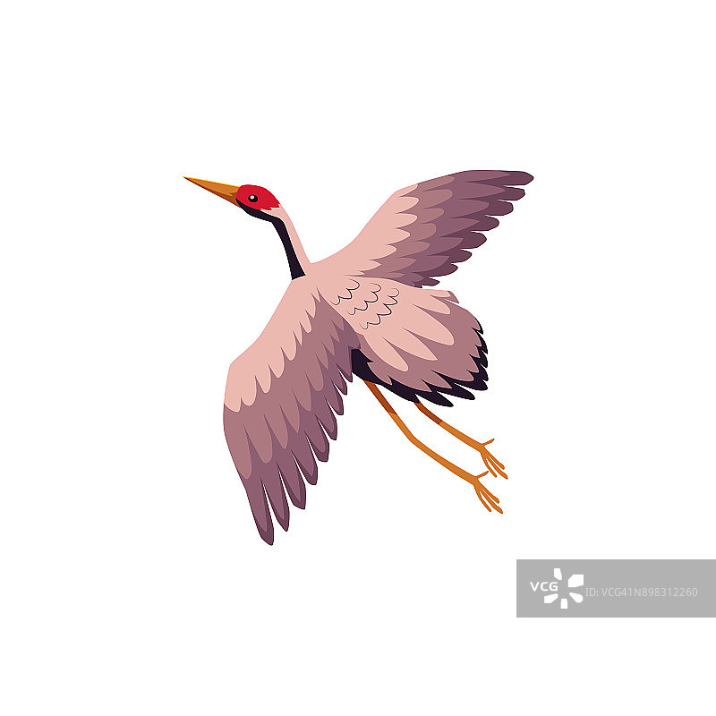 矢量平面卡通日本鹤拍打翅膀图片素材