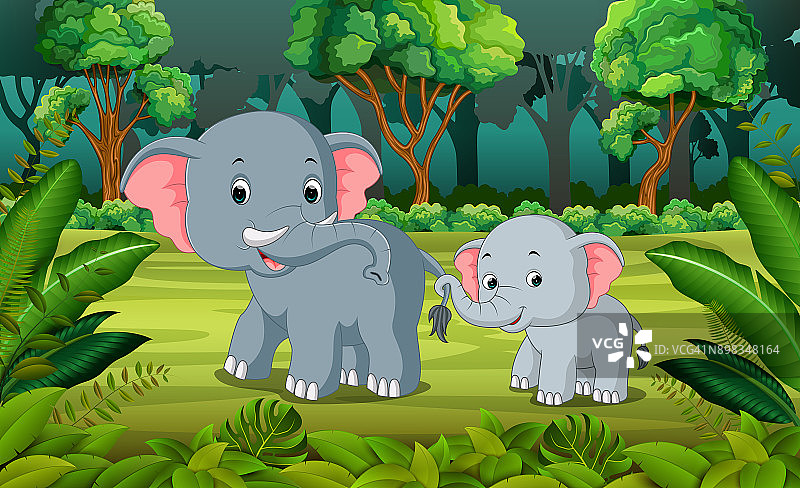 森林里的大象和小象图片素材