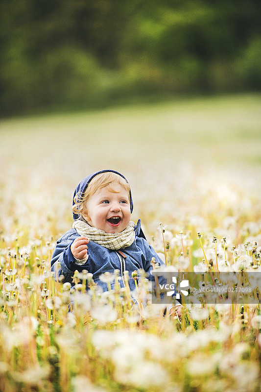 快乐的小男孩在长满蒲公英的草地上图片素材