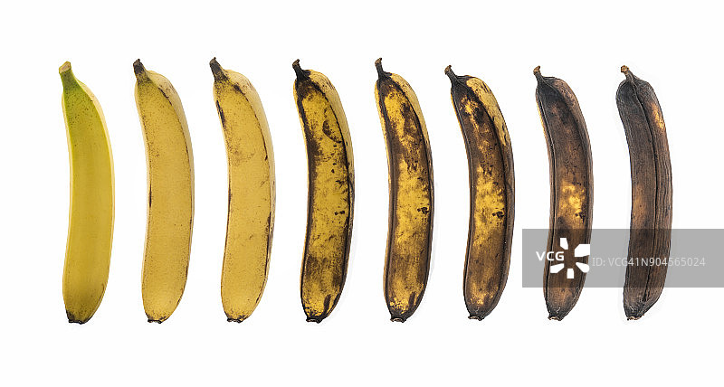 白色背景下香蕉的老化过程图片素材