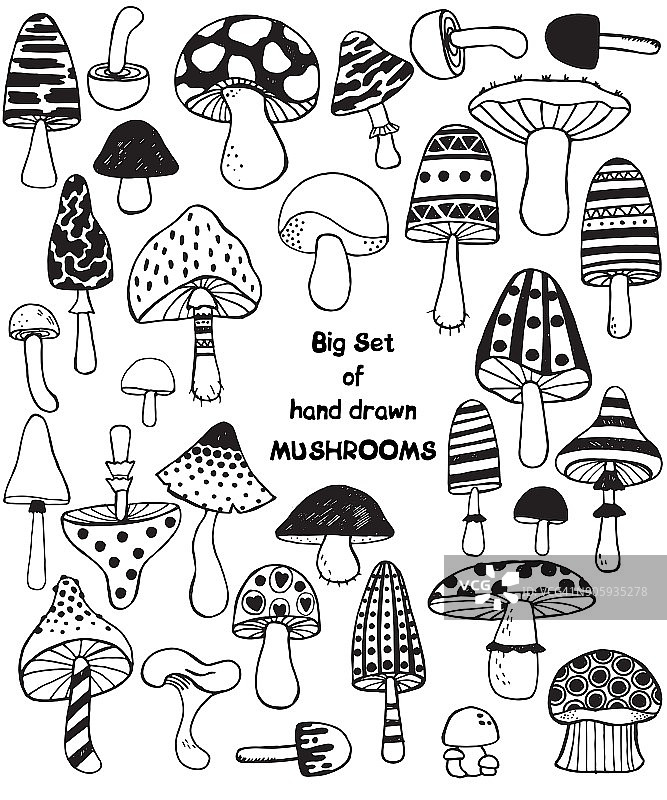 大套手绘涂鸦蘑菇素描。矢量黑白插图。圆点条纹帽和梗。新鲜的有机食品或药物隔离在白色。图片素材