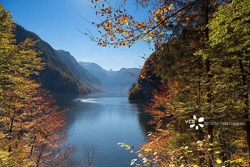 巴伐利亚州贝希特斯加登的科尼西湖，田园般宁静的秋天景色，郁郁葱葱的树叶图片素材
