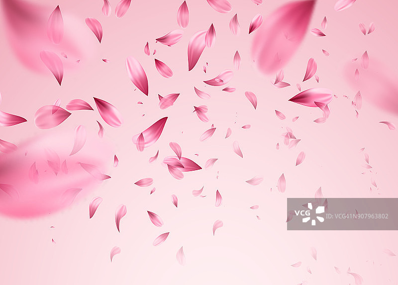 粉红色樱花落花背景。矢量图图片素材