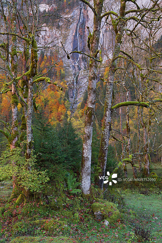 秋天田园风光与瀑布从悬崖上落下的背景图片素材