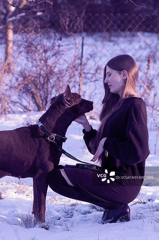 年轻美丽的女孩和她的杜宾犬在冬季公园散步图片素材