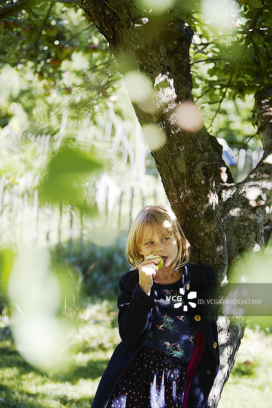 金发女孩在果园里吃苹果图片素材