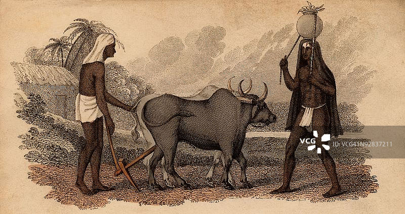 印度农村农业图片素材