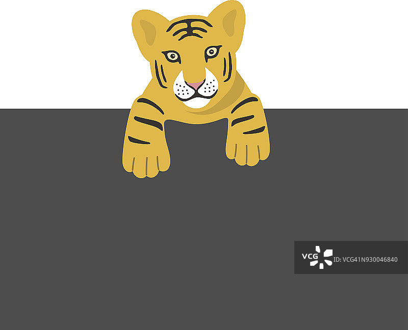 可爱的小老虎躺在黑板上，矢量插图图片素材