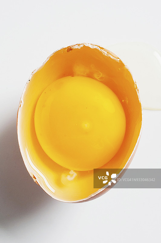 卵细胞侧面裂开，显示出卵细胞的配对(蛋黄，合带，生发盘)图片素材