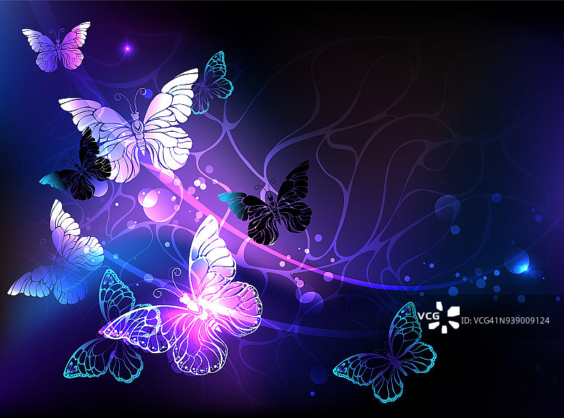 夜蝴蝶的背景图片素材