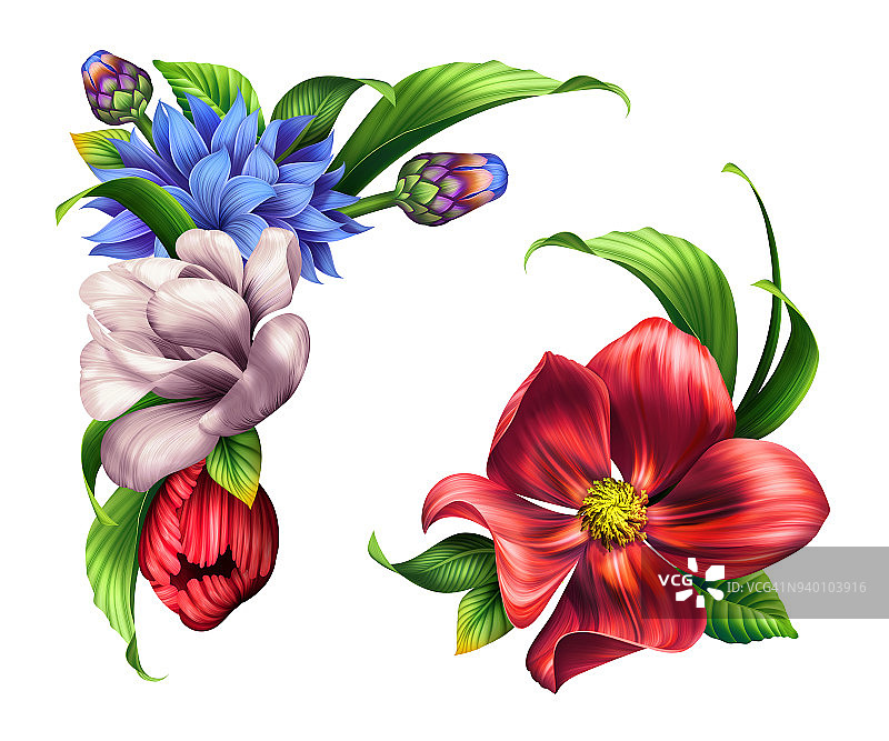 植物插画，野花花束，花卉角落设计元素，剪贴艺术孤立的白色背景图片素材