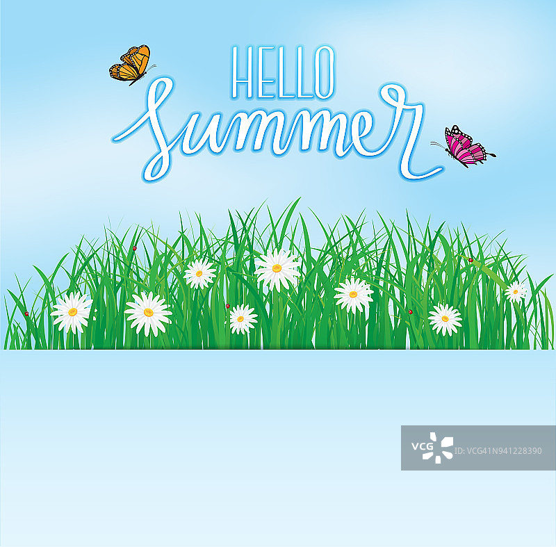你好夏天，蝴蝶在草地上飞舞着鲜花，春天，夏天的背景图片素材