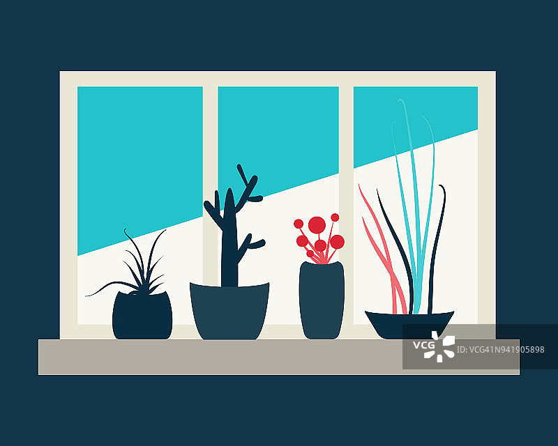 窗台上的花盆里种着室内植物和花卉图片素材