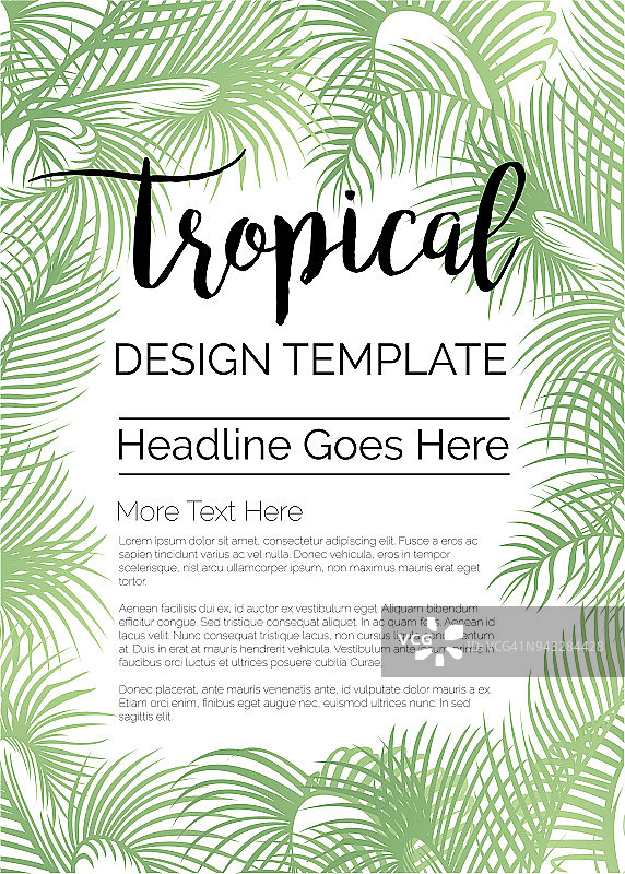 热带设计模板或边缘与棕榈叶图片素材