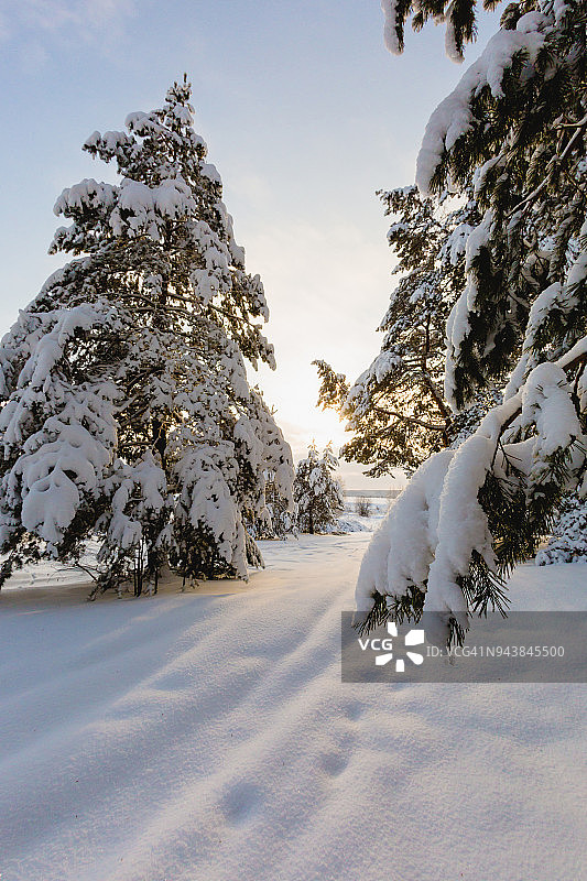 美丽的冬季日落景观图片素材