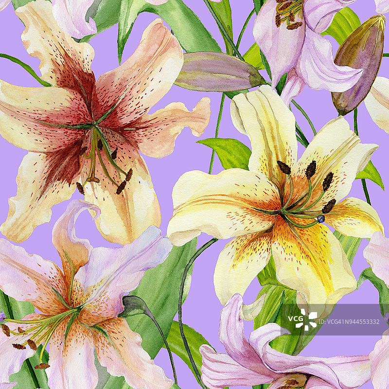美丽的百合花和绿叶在丁香的背景。无缝的花卉图案。水彩画。手绘插图图片素材