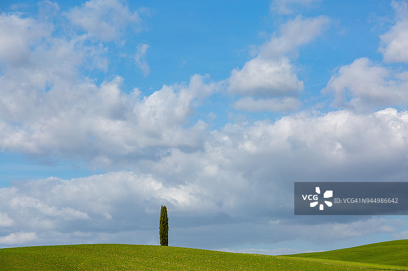 春天的风景，托斯卡纳，意大利图片素材