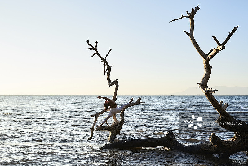 一名年轻女子在海上一棵倒下的树上练习瑜伽图片素材