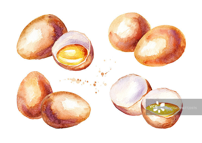 鸡蛋。水彩手绘插图，孤立的白色背景图片素材