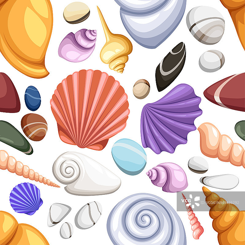 五彩缤纷的热带贝壳水下图标集框架海贝壳。贝壳和海星的夏季概念。圆形构图，海星，自然水生。无缝的矢量图图片素材