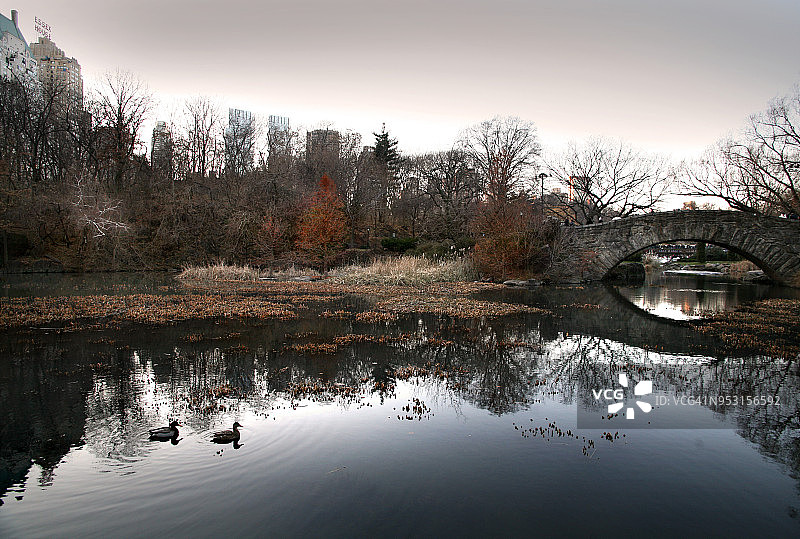 在一个寒冷的秋日，美国纽约曼哈顿中央公园南池塘上的桥图片素材