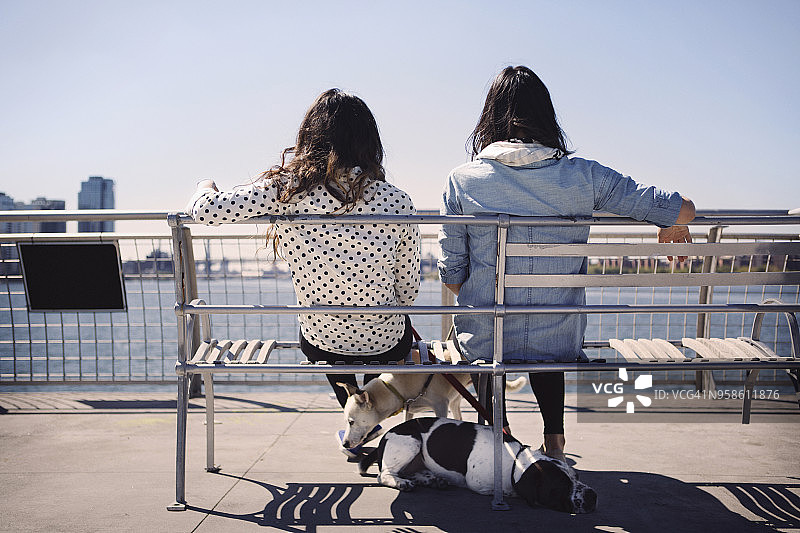 后方的女人与狗坐在长凳上的桥对晴朗的天空图片素材